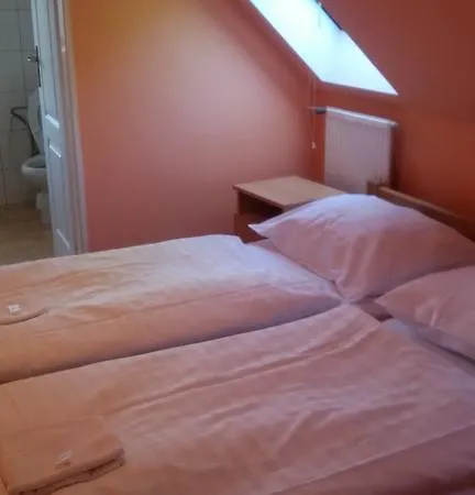 Pension.no30 Gæstehus Svijany